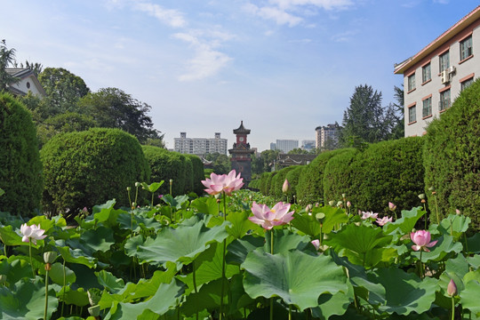 四川大学华西坝钟楼