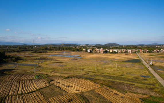 大洲村 乡村 田野 河流