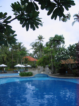巴厘岛旅游 游泳池