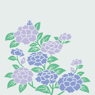 牡丹花開 插畫