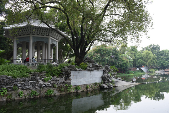 湖畔风景