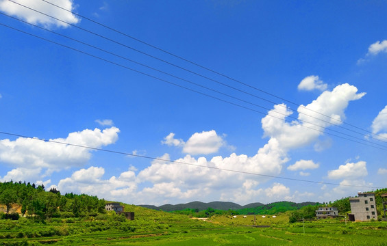 青山绿水新农村