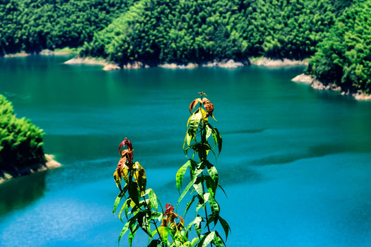 一面湖水 山谷湖水意境图片