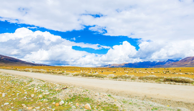 西藏公路 西藏高原