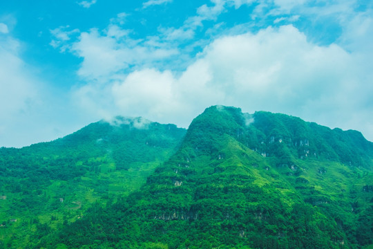 大山 青山