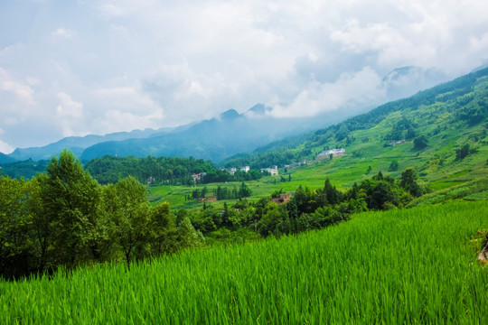 山村 山地