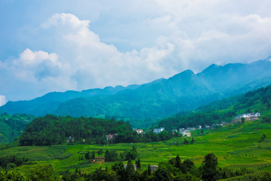 稻田 山村