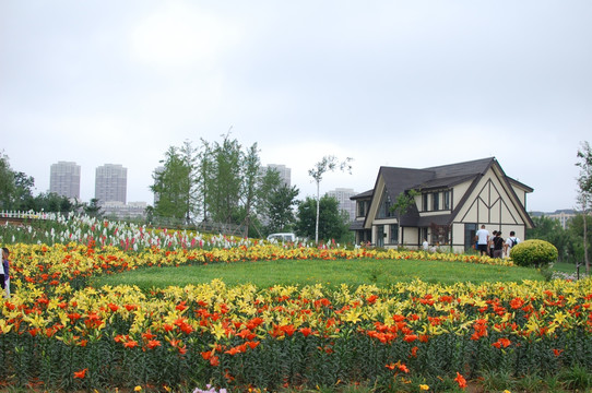 花卉风景小屋