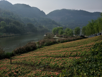 美丽的旅游区景色