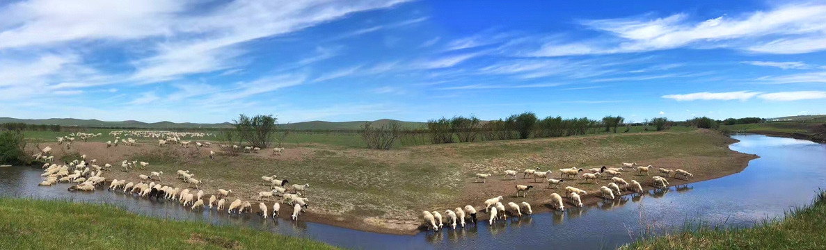 草原 羊群 河流