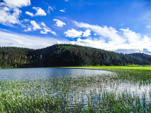 普达措湿地