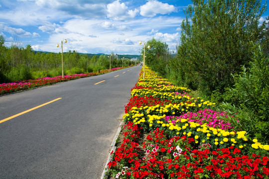 街道与鲜花