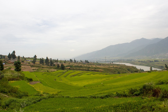 大凉山梯田