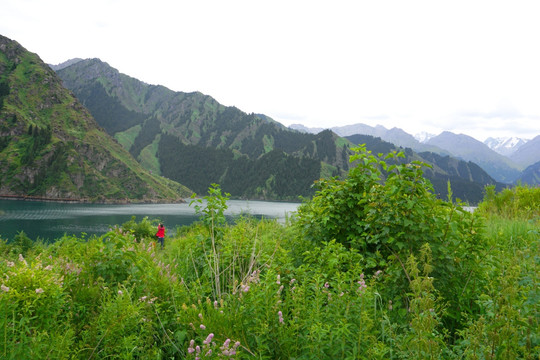 天山天池 山岳湖泊 自然景观