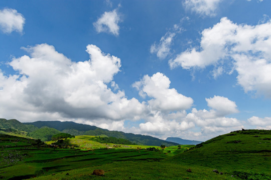 二难马鹿寨全景