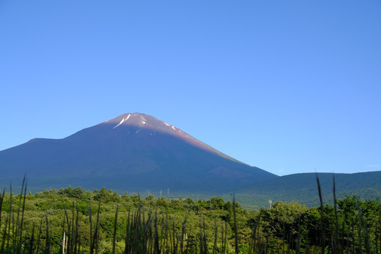 富士山