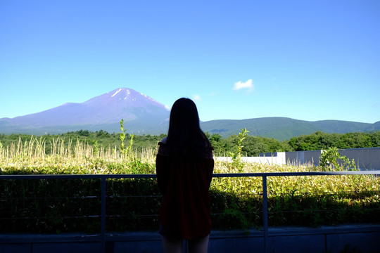 眺望富士山