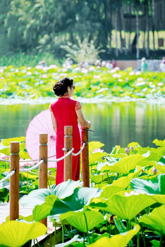 旗袍女子在湖边赏花