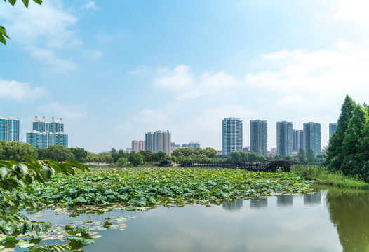 湖泊湿地