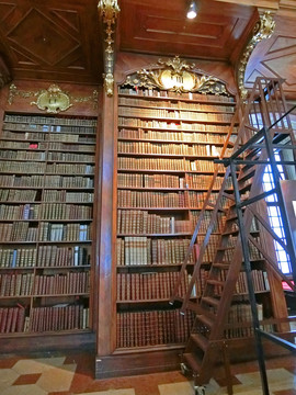 西方图书馆图书查阅梯
