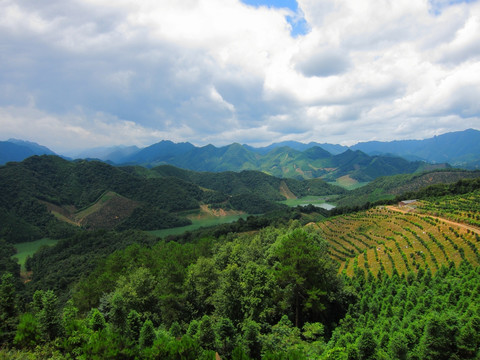 永福板峡水库