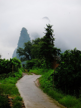 山村小路