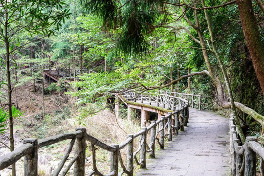 大龙湫风景区