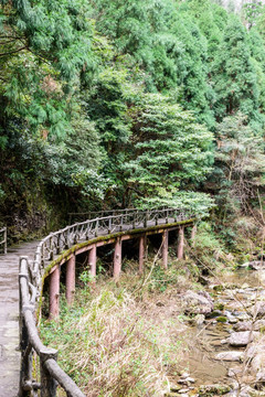 大龙湫风景区栈道