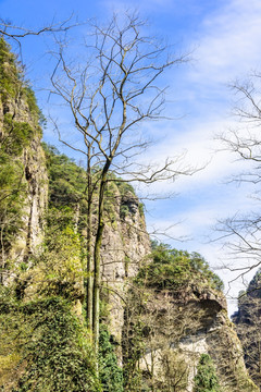 净名谷风景区峭壁