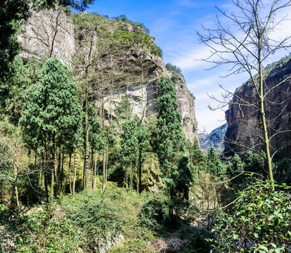 净名谷风景区山谷