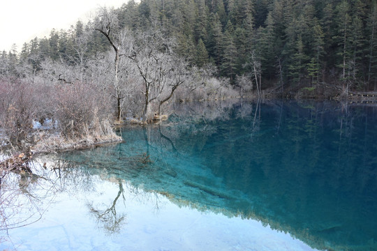 九寨沟水上美景