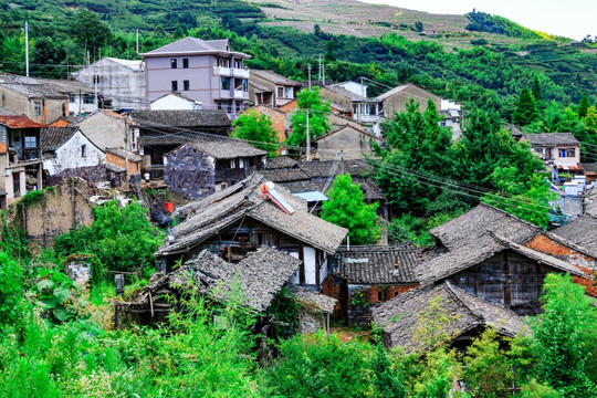 绿色村庄 村庄 绿色山村 农村