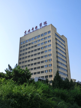 中央音乐学院