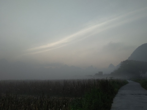 早晨雾天图片