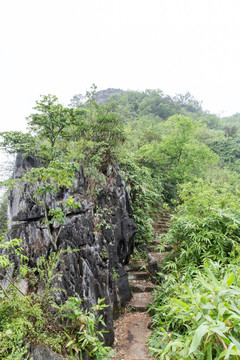 山路 石阶