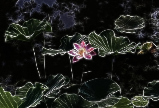 荷花抽象畫(huà)