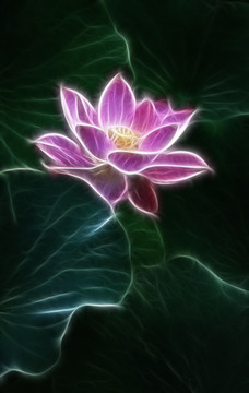 荷花抽象畫