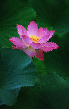 荷花油畫