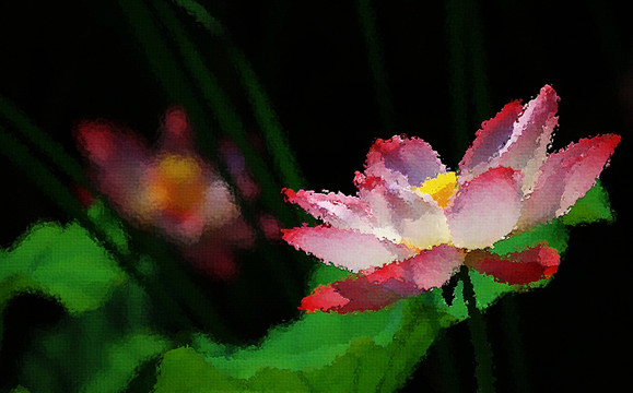 荷花油畫