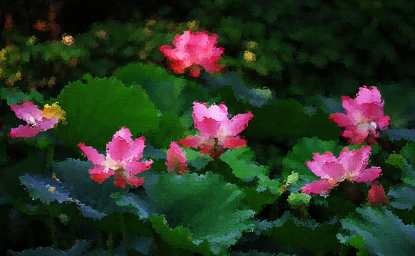 荷花油畫