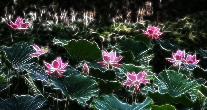 荷花抽象畫