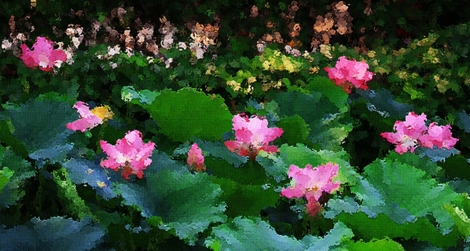 荷花油畫