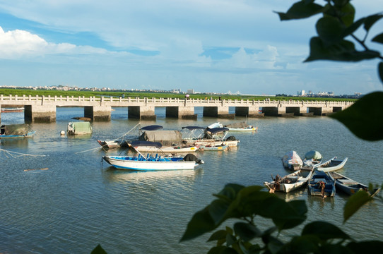 洛阳桥旅游风光