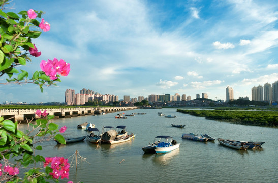 洛阳桥美景