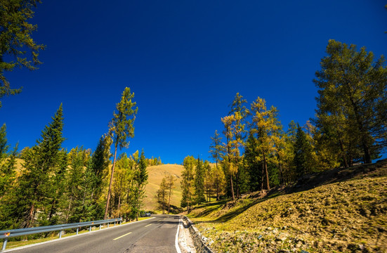 去往新疆喀纳斯贾登峪的路边风景