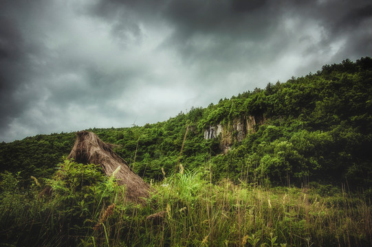 高坡风景