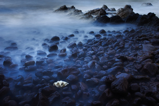 礁石海浪海螺