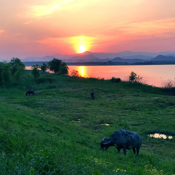 湖边夕阳 南湖落日