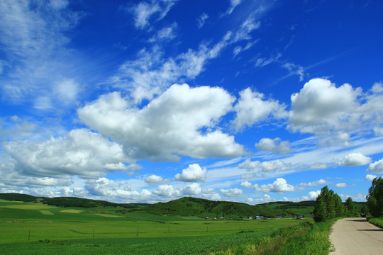 蓝天白云下的农田