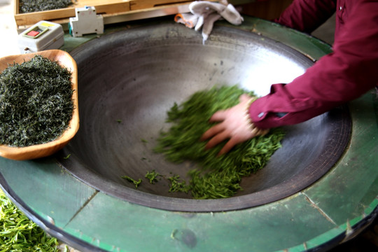 炒制茶叶 手工制作茶叶